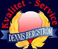 Dennis Bergstrm